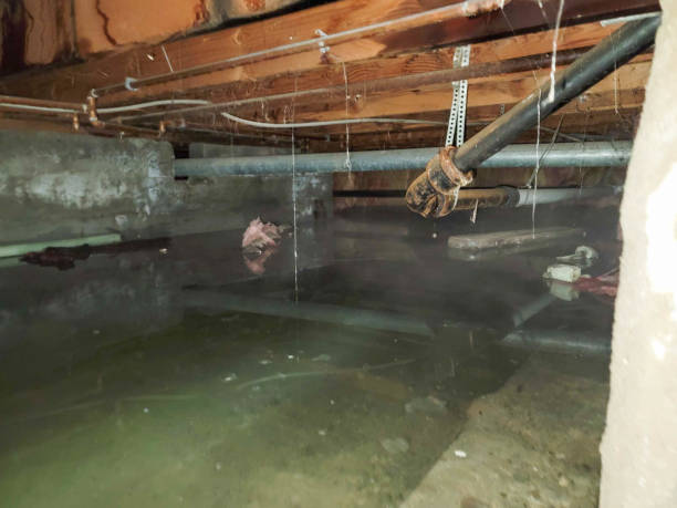 Best Water damage restoration near me  in Jamaica Beach, TX