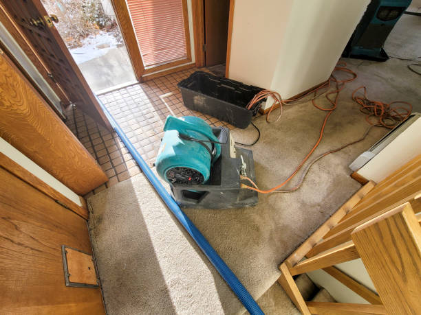 Best Water damage restoration mold remediation  in Jamaica Beach, TX