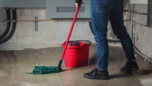 Best Water damage cleanup near me  in Jamaica Beach, TX