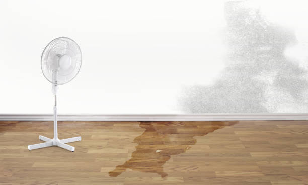Best Water damage restoration services  in Jamaica Beach, TX