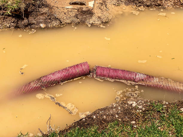 Best 24-hour water damage restoration  in Jamaica Beach, TX
